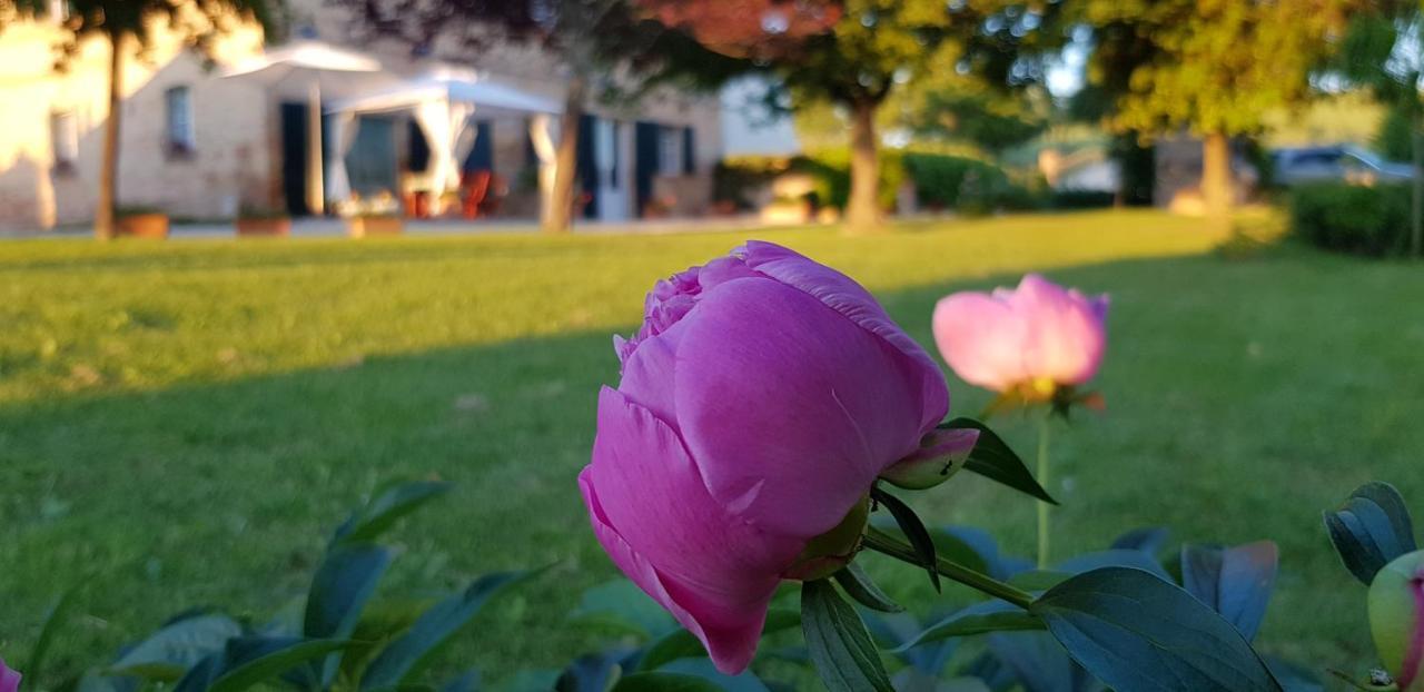 B&B Cervare Montelupone Kültér fotó